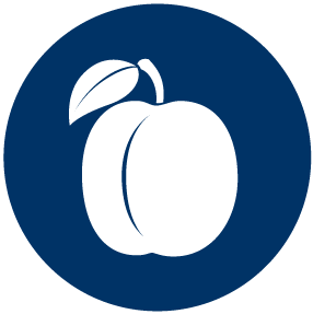 Blue Icon of a Pomegranate